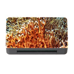 Fire Coral 1 Memory Card Reader With Cf by trendistuff