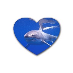 Great White Shark 4 Rubber Coaster (heart)  by trendistuff