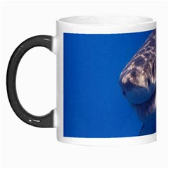 Great White Shark 5 Morph Mugs by trendistuff