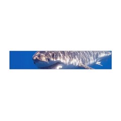 Great White Shark 5 Flano Scarf (mini) by trendistuff