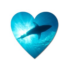 Great White Shark 6 Heart Magnet by trendistuff