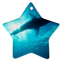 Great White Shark 6 Star Ornament (two Sides) by trendistuff