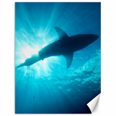 Great White Shark 6 Canvas 18  X 24   by trendistuff