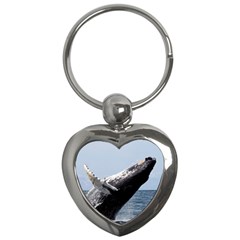 Humpback 2 Key Chains (heart)  by trendistuff