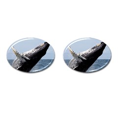 Humpback 2 Cufflinks (oval) by trendistuff