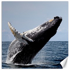 Humpback 2 Canvas 20  X 20   by trendistuff