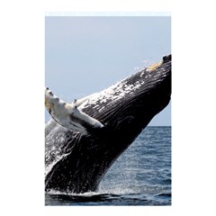 Humpback 2 Shower Curtain 48  X 72  (small)  by trendistuff