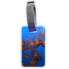 Jellyfish Aquarium Luggage Tags (one Side)  by trendistuff