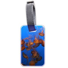 Jellyfish Aquarium Luggage Tags (two Sides) by trendistuff