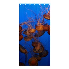 Jellyfish Aquarium Shower Curtain 36  X 72  (stall)  by trendistuff