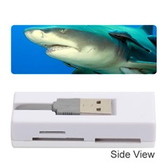 Lemon Shark Memory Card Reader (stick)  by trendistuff