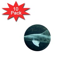 Leopard Shark 1  Mini Magnet (10 Pack)  by trendistuff