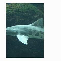 Leopard Shark Small Garden Flag (two Sides) by trendistuff