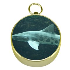 Leopard Shark Gold Compasses by trendistuff
