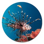 LIONFISH 1 Magnet 5  (Round) Front