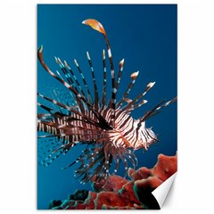 Lionfish 1 Canvas 12  X 18   by trendistuff