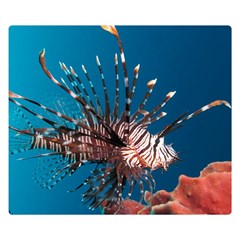 Lionfish 1 Double Sided Flano Blanket (small)  by trendistuff