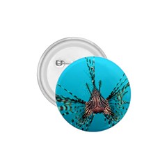 Lionfish 2 1 75  Buttons by trendistuff