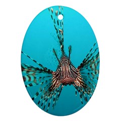 Lionfish 2 Ornament (oval) by trendistuff