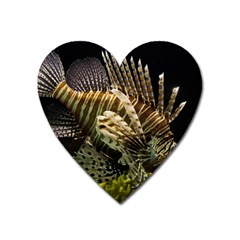 Lionfish 3 Heart Magnet by trendistuff