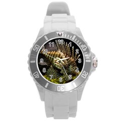 Lionfish 3 Round Plastic Sport Watch (l) by trendistuff