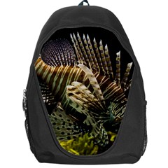 Lionfish 3 Backpack Bag by trendistuff