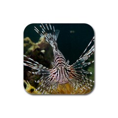 Lionfish 4 Rubber Square Coaster (4 Pack)  by trendistuff