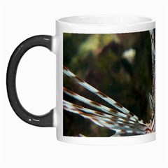 Lionfish 4 Morph Mugs by trendistuff