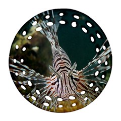 Lionfish 4 Ornament (round Filigree) by trendistuff