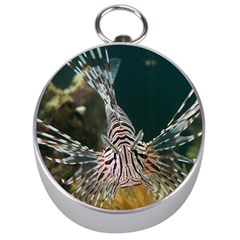 Lionfish 4 Silver Compasses by trendistuff