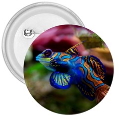 Mandarinfish 1 3  Buttons by trendistuff