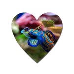 MANDARINFISH 1 Heart Magnet Front