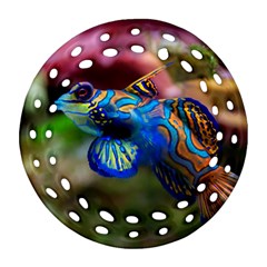 Mandarinfish 1 Ornament (round Filigree) by trendistuff