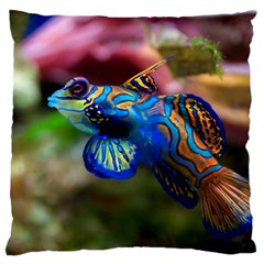 Mandarinfish 1 Large Cushion Case (one Side) by trendistuff