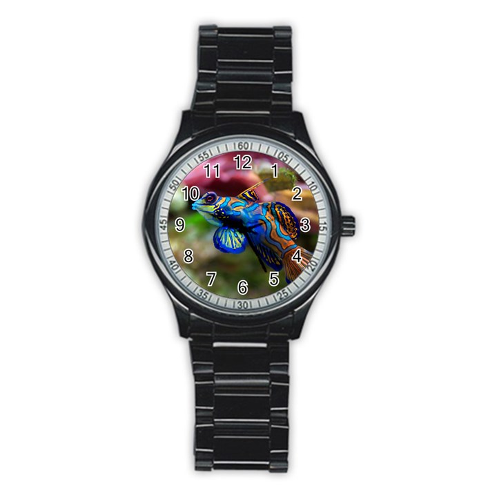 MANDARINFISH 1 Stainless Steel Round Watch