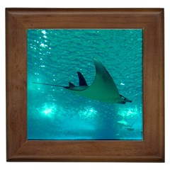 MANTA RAY 1 Framed Tiles