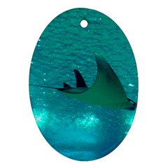 MANTA RAY 1 Ornament (Oval)