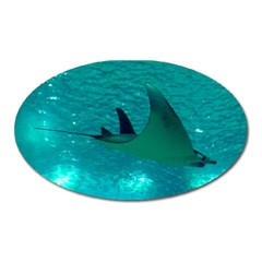 MANTA RAY 1 Oval Magnet