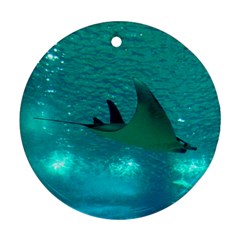 MANTA RAY 1 Round Ornament (Two Sides)