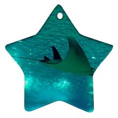 MANTA RAY 1 Star Ornament (Two Sides)