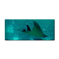 Manta Ray 1 Cosmetic Storage Cases by trendistuff