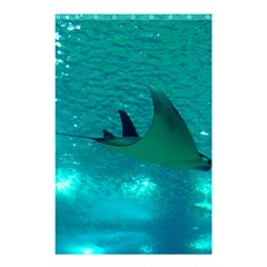 MANTA RAY 1 Shower Curtain 48  x 72  (Small) 