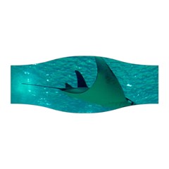 MANTA RAY 1 Stretchable Headband