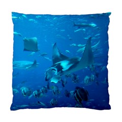 Manta Ray 2 Standard Cushion Case (two Sides) by trendistuff