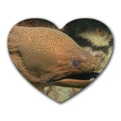 Moray Eel 1 Heart Mousepads by trendistuff