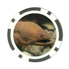 Moray Eel 1 Poker Chip Card Guard by trendistuff