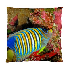 Regal Angelfish Standard Cushion Case (two Sides) by trendistuff