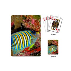 Regal Angelfish Playing Cards (mini)  by trendistuff