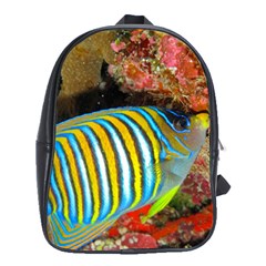 Regal Angelfish School Bag (xl) by trendistuff