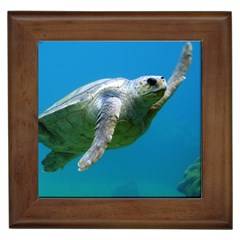 Sea Turtle 2 Framed Tiles by trendistuff